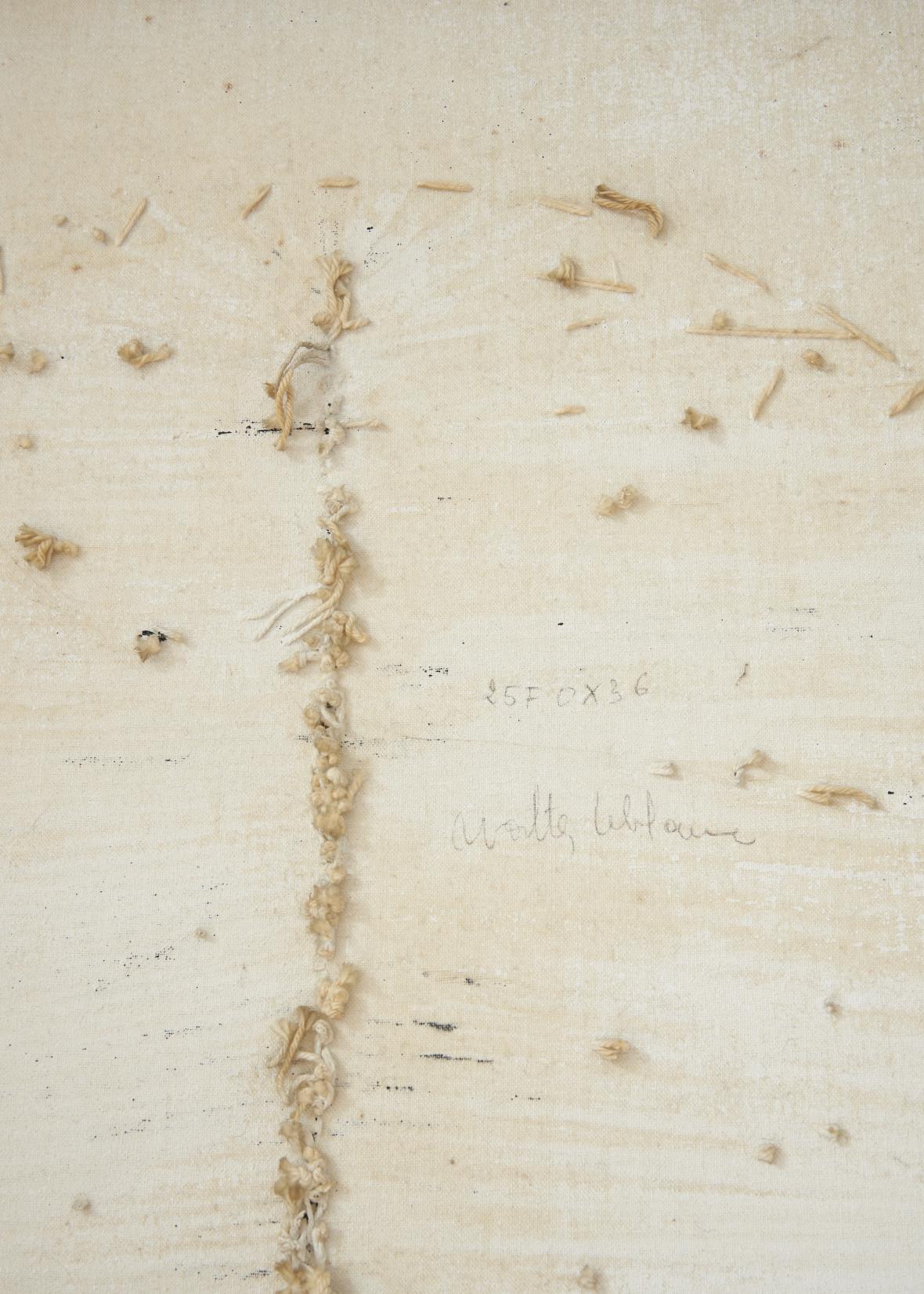 Walter Leblanc's Twisted Strings, 1960 (verso, detail) on view in Contacts by Hana Miletić